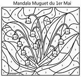 Muguet 1er Coloriages Lily Zahlen Ligne Poppy Enfants Afficher Réelle Fleurs sketch template