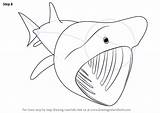 Shark Basking Draw Step Drawing Tutorials Drawingtutorials101 Make Animals Fishes Necessary Improvements Finish sketch template