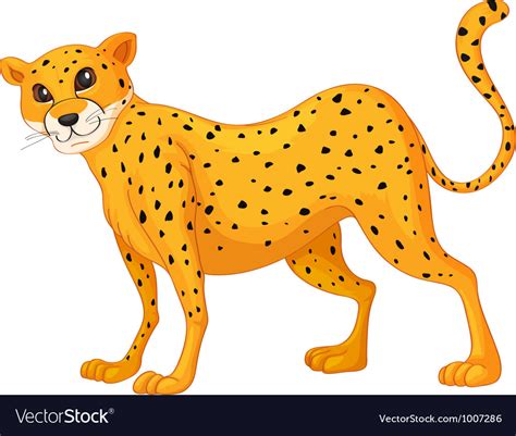 cartoon cheetah royalty  vector image vectorstock