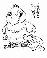 Omalovánky Parrot Butterfly Papoušek Coloring Omalovánka Cartoon Creative Pages Omalovanky Cz Vytisknutí Pro Categories A4 Birds Pinu Zdroj sketch template