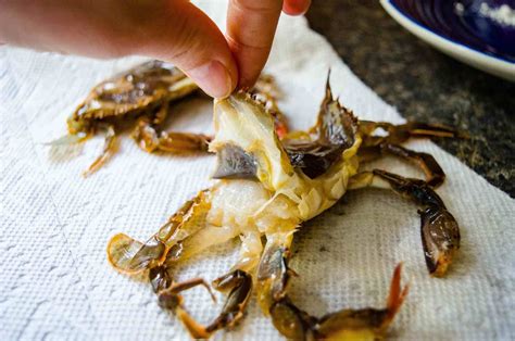 sauteed soft shell crab   flavor  crisp   deep