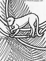 Rainforest Monkey Coloringhome Printables Snake Preschool Toucan sketch template