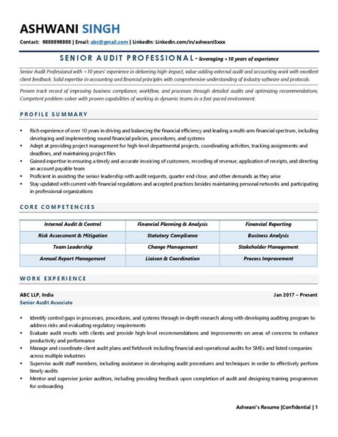 auditor resume examples template  job winning tips