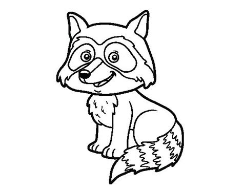 raccoon coloring page  getcoloringscom  printable colorings