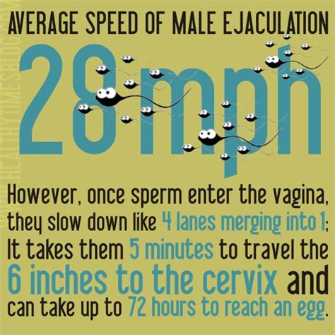 Funny Sex Facts