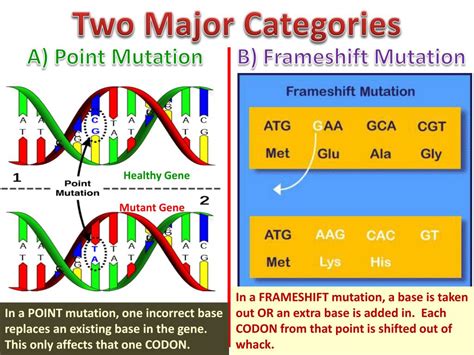 ppt types of mutations powerpoint presentation free