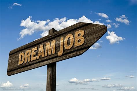 find  dream job   tips careeralley