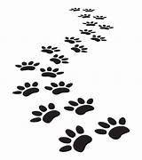 Paw Trail Prints Dog Clipart Cat Tiger Transparent Paws Background Vector Print Animal Track Sticker Printing Clip Stock Vectors Webstockreview sketch template
