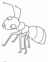 Ant Hormigas Ants Coloringtop Preschoolers Fact sketch template