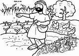 Sower Parable Coloring Pages Biblekids Testament Eu Seed Sowing sketch template