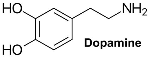 dopamine function dopamine deficiency   increase dopamine