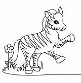 Zebra Coloring Pages Baby Cute Colouring Animal Head Pattern Getcolorings Color Printable sketch template