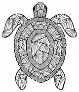 Turtle Coloring Sea Pages Adults Printable Turtles Color Print Getcolorings sketch template