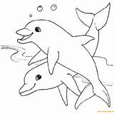 Pages Two Dolphins Playing Coloring Color sketch template