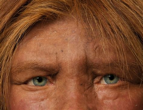 Neanderthal Human Sex Bred Light Skins And Infertility New Scientist