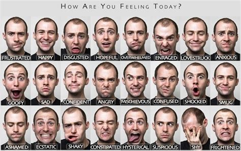 facial expression emotions gay and sex