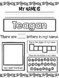check  check  editable worksheets teaching resources tpt