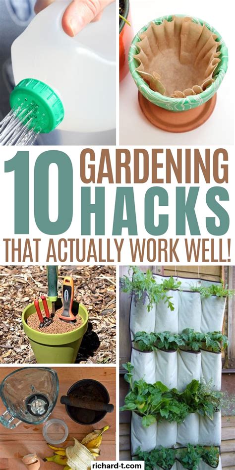 10 genius garden hacks you need to try today