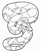Snake Boa Constrictor Coloring Line Anaconda Drawing Clipart Python Pages Burmese Drawings Deviantart Library Color Snakes Cliparts Green Printable Getdrawings sketch template