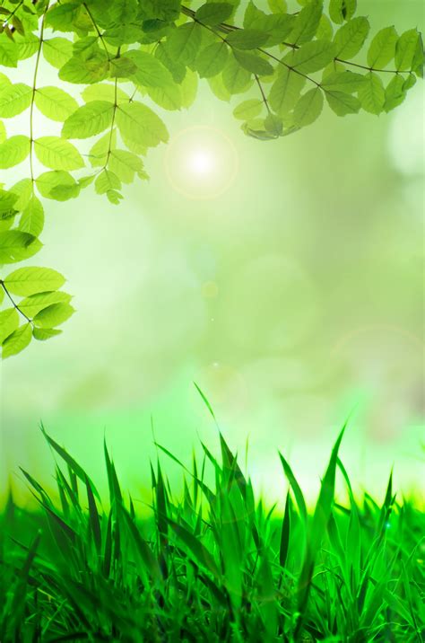 natural green background  stock photo public domain pictures
