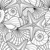 Starfish Seashells 123rf sketch template