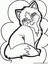 Coloring Pages Cat Persian Kitten Puppy Printable Print Color Getcolorings Kid sketch template