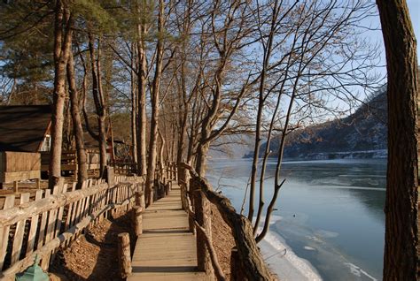 traveler guide enjoying winter  south korea