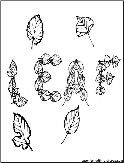 autumn leaves coloring pages  printable colouring pages  kids