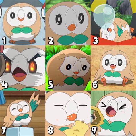 rowlet   today fandom