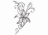 Tatuaggi Tatuaggio Fiore Crosses Outline Sketches Clipartmag Blume Jasmin Immagini Blumenbilder sketch template