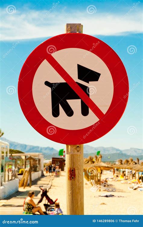 hunde sind verboten stock abbildung illustration von tiere