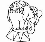 Circus Elephant Coloring Pages African Drawing Performing Getdrawings Getcolorings Color Printable Colorings sketch template