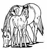 Coloring Cheval Poney Shetland Horses Ponys Ponies Coloringpagebook Ancenscp sketch template