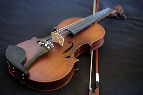 buying  violin  beginners notestem