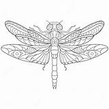 Dragonfly Coloring Pages Adults Printable Mandala Color Insect Colouring Kids Spanking Getcolorings Getdrawings Pattern sketch template