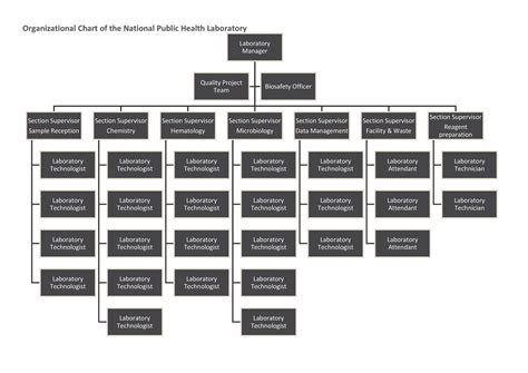 organizational chart template fillable printable   forms cloobx hot girl