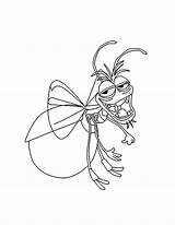 Firefly Coloring Toothless Old Pages Colouring Drawing Color Insect Designlooter Getdrawings 776px 87kb sketch template