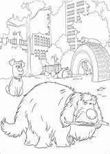 Huisdiergeheimen Kleurplaten Mascotas Printen Pets Animali Tekeningen Tekening Afdrukken Websincloud sketch template