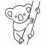 Koala Desenho Koalas Webstockreview Disegno Outlines Pinta Clipartmag Ultracoloringpages sketch template