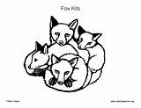 Fox Kits Coloring Baby Exploringnature Animal Book sketch template