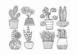 Pages Houseplant Botanicals Mindfulness Medina Juls sketch template