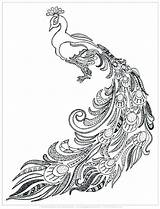Coloring Peacock Pages Easy Printable Adult Adults Drawing Color Fun Realistic Colouring Feather Print Printables Cool Peasy Kids Getcolorings Getdrawings sketch template