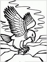 Adler Malvorlagen sketch template