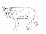 Coyote Lineart Coloringhome sketch template