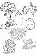 Colorir Verduras Desenhos Comida Legumes Frutas Saludables Vegetable Fruits Alimentação Saudáveis Worksheet Saudável Martinho Pesquisa με Povrce Voce Visitar Coloringcity sketch template