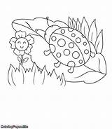 Coloring Pages Spring Kids Coloringpages Beetle Walking Site Cute Flower sketch template