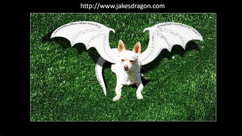 jakes dragon  deeper  youtube