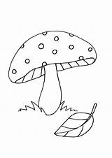 Mushroom Grzyby Jesienne Mushrooms Kolorowanka Druku Pokoloruj Fungi Parabebes sketch template
