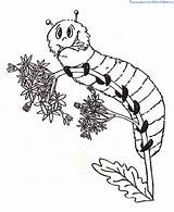 Chenille Coloriage Funforkids Caterpillar sketch template