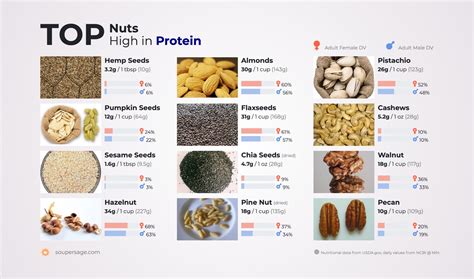 top nuts high  protein